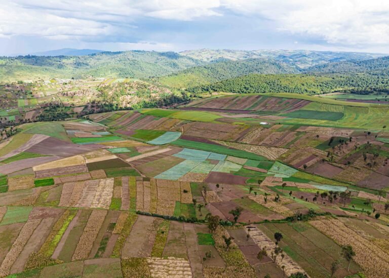 “Kenya’s debt-for-food swap is designed to redirect resources toward farming and food security—vital for rural communities.”